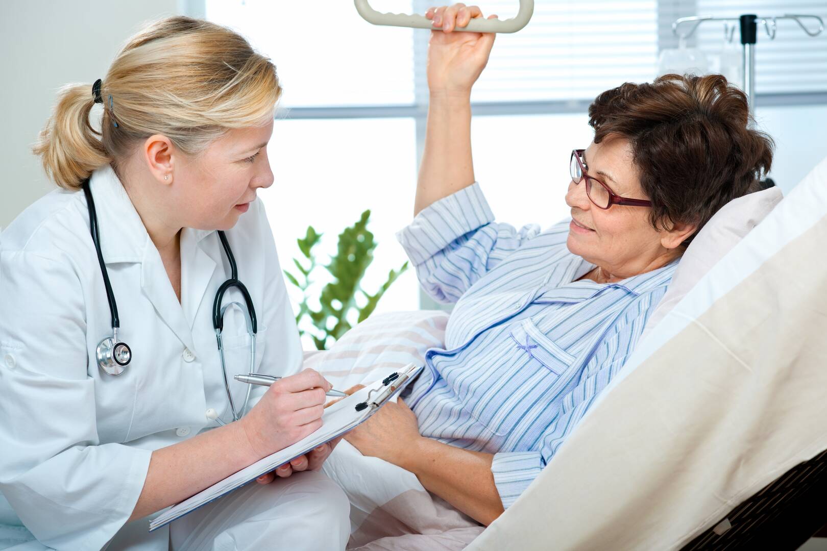 Maple Lane Pest Control, Healthcare in Warren, Michigan
