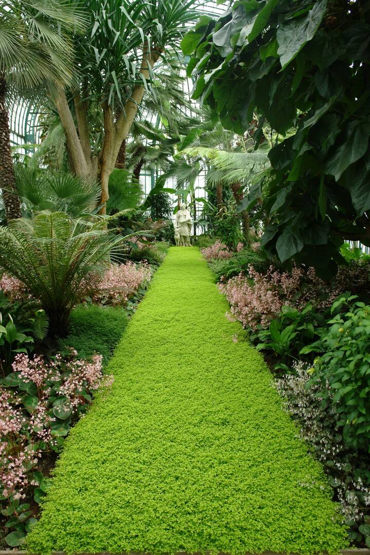 Lawn Brigade, Home Decor and Garden in Arlington, Texas