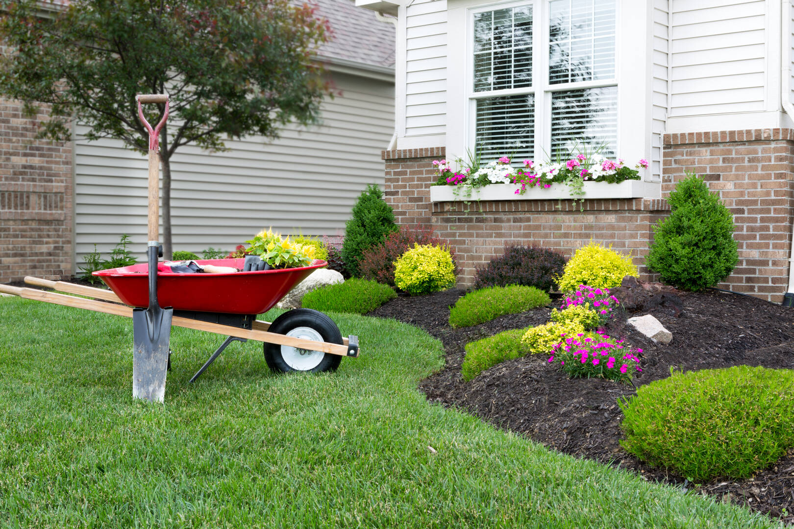 Pete & Ron's Tree Service, Inc., Home Decor and Garden in Palm Harbor, Florida