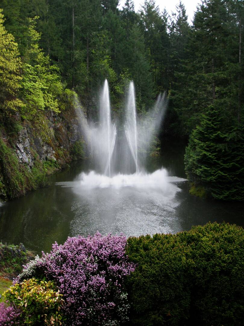 J Evans Property Services, Home Decor and Garden