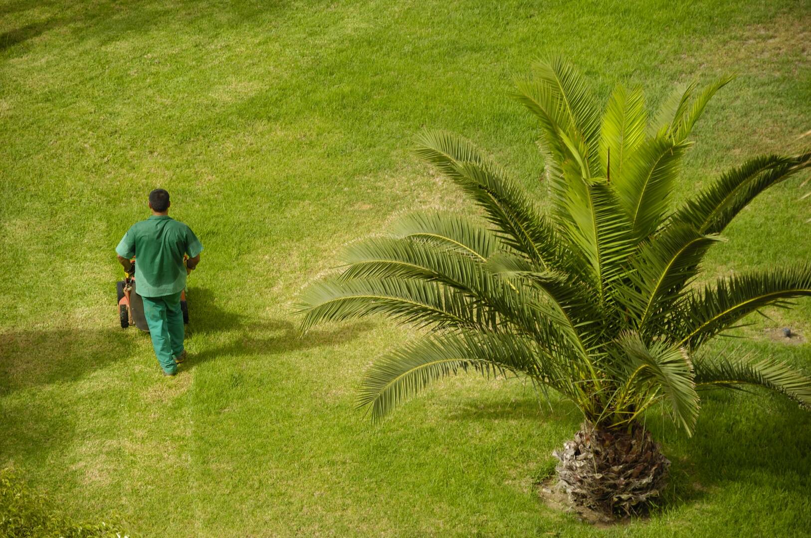 Shades Of Green, Home Decor and Garden