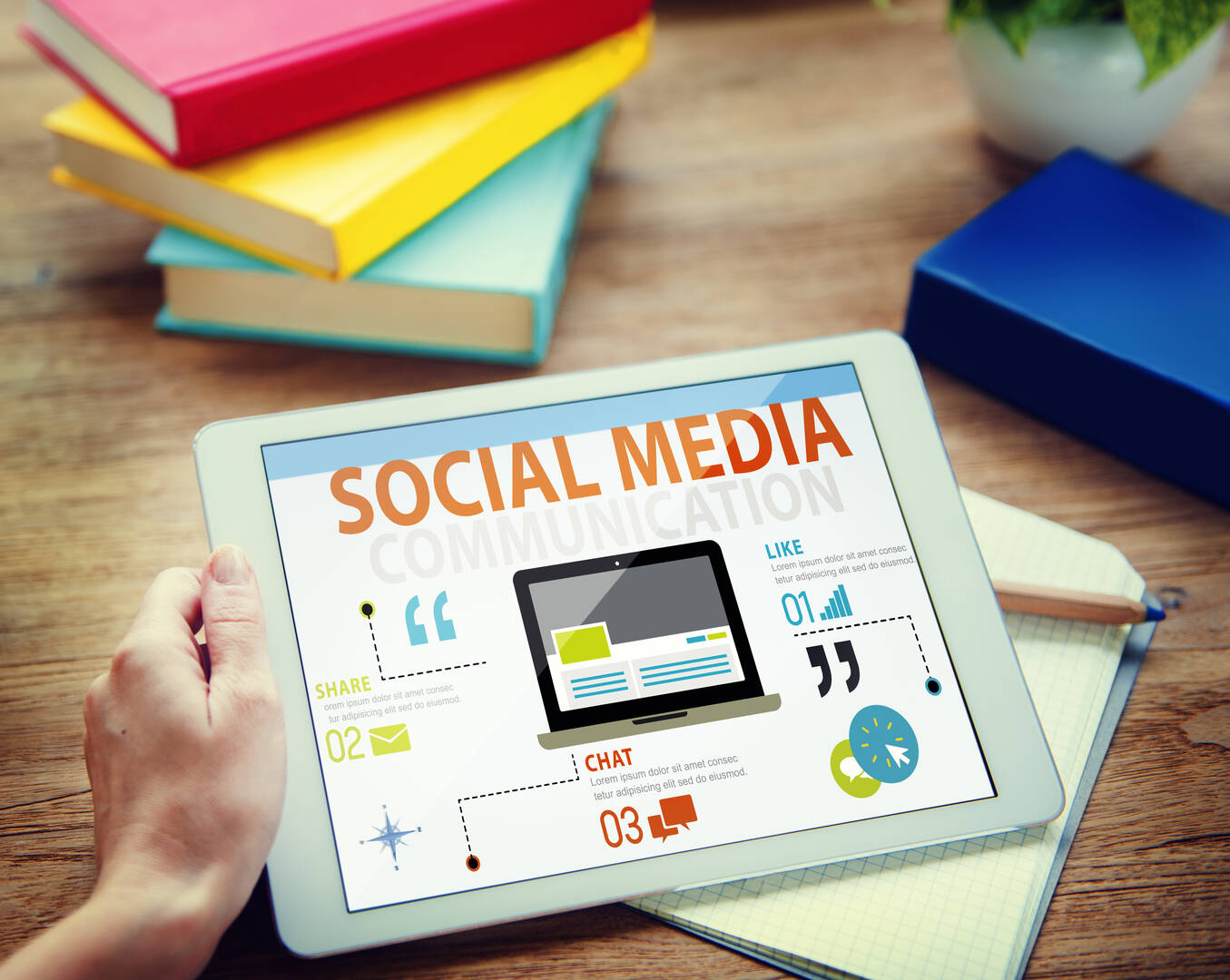WP Support And Maintenance, SEO, SMO and PPC in Denver, Colorado
